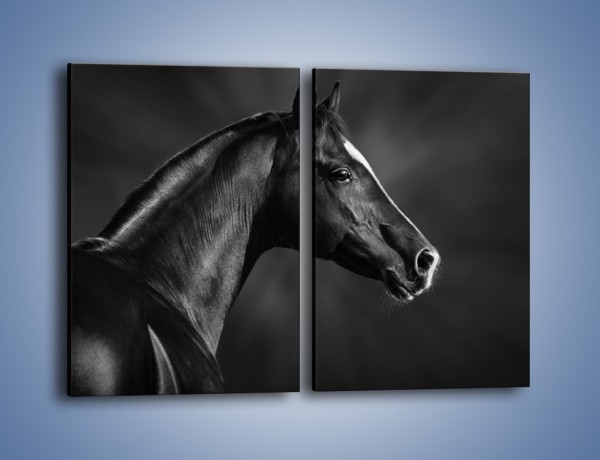 Obraz na płótnie – Zadumane spojrzenie konia – dwuczęściowy prostokątny pionowy Z238