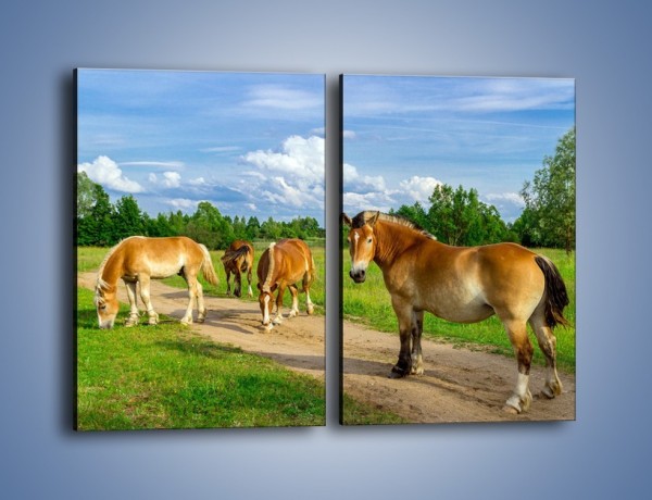 Obraz na płótnie – Konie z gospodarstwa – dwuczęściowy prostokątny pionowy Z242