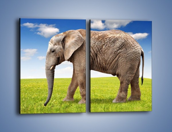 Obraz na płótnie – Odbicie słonia w wodnym lustrze – dwuczęściowy prostokątny pionowy Z245