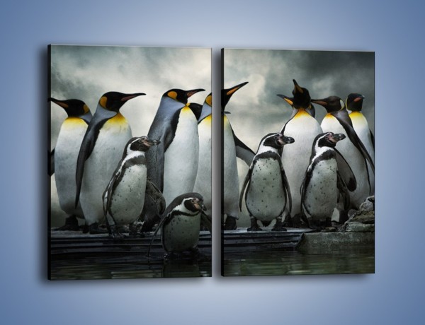 Obraz na płótnie – Pingwinki z madagaskaru – dwuczęściowy prostokątny pionowy Z247