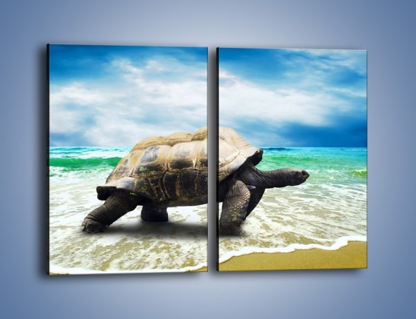 Obraz na płótnie – Jak tu nie kochać żółwi – dwuczęściowy prostokątny pionowy Z251