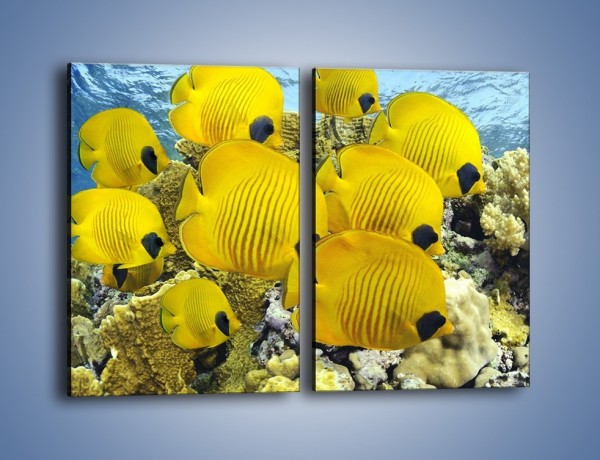 Obraz na płótnie – Słoneczne ryby w oceanie – dwuczęściowy prostokątny pionowy Z252