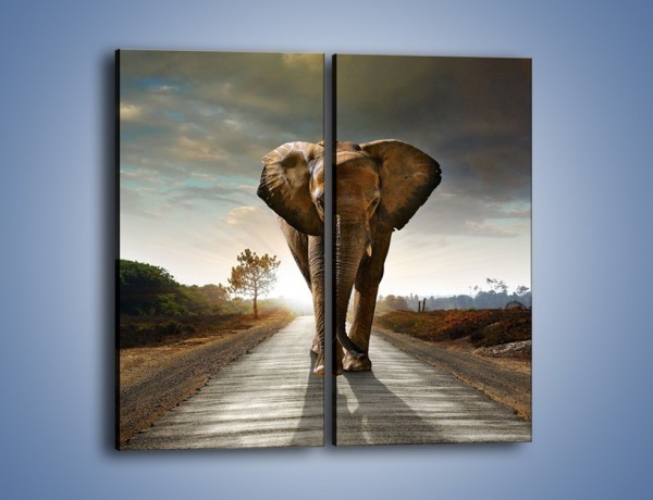 Obraz na płótnie – Słoń w poszukiwaniu rodziny – dwuczęściowy prostokątny pionowy Z256