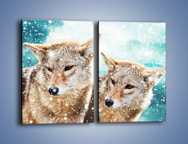 Obraz na płótnie – Zaciekawione wilki w płatkach śniegu – dwuczęściowy prostokątny pionowy Z257