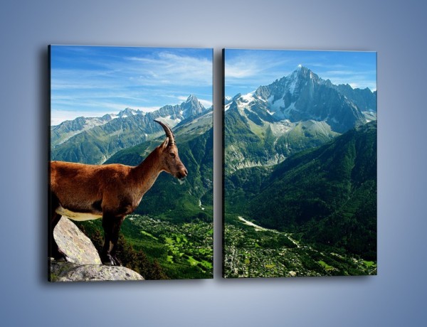 Obraz na płótnie – Kozica w górskiej panoramie – dwuczęściowy prostokątny pionowy Z260
