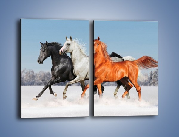 Obraz na płótnie – Konie w kolorach – dwuczęściowy prostokątny pionowy Z261