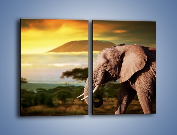 Obraz na płótnie – Smutek w oczach słonia – dwuczęściowy prostokątny pionowy Z275