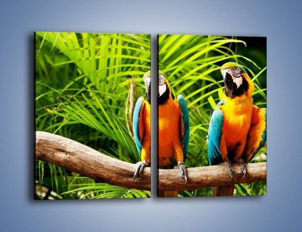 Obraz na płótnie – Papugi na tle paproci – dwuczęściowy prostokątny pionowy Z278