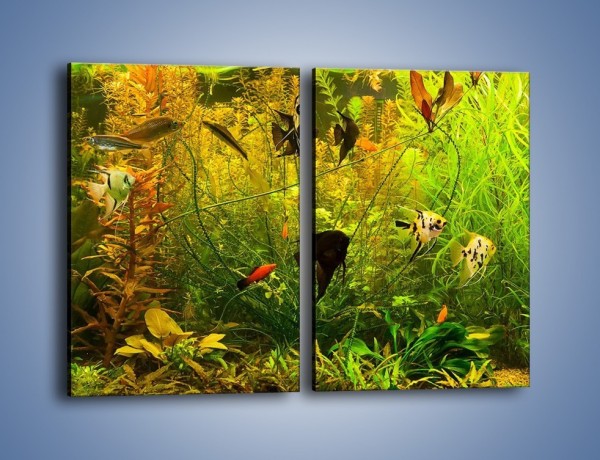 Obraz na płótnie – Zielony świat ryb – dwuczęściowy prostokątny pionowy Z287