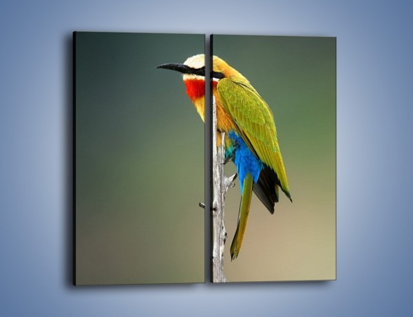 Obraz na płótnie – Kolorowy ptaszek na gałęzi – dwuczęściowy prostokątny pionowy Z293