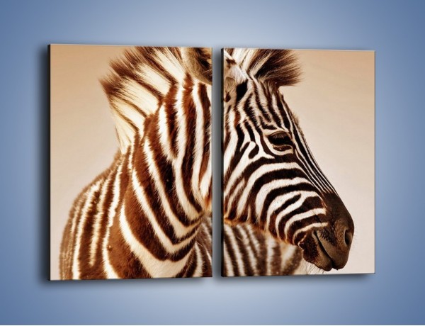 Obraz na płótnie – Zebra w irokezie – dwuczęściowy prostokątny pionowy Z296