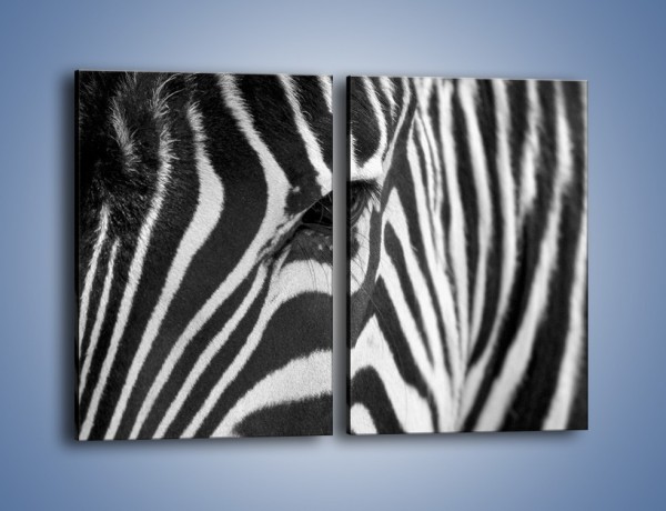Obraz na płótnie – Zebra z bliska – dwuczęściowy prostokątny pionowy Z301