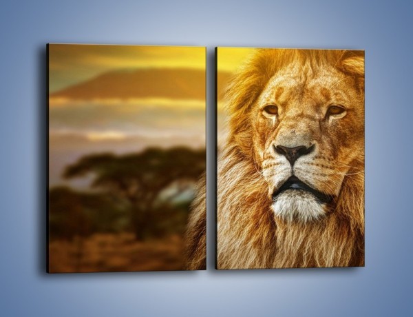 Obraz na płótnie – Dojrzały wiek lwa – dwuczęściowy prostokątny pionowy Z303