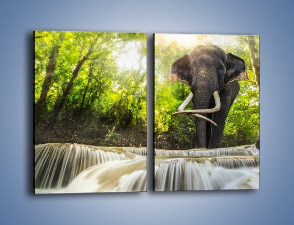 Obraz na płótnie – Słoń i mały wodospad – dwuczęściowy prostokątny pionowy Z305