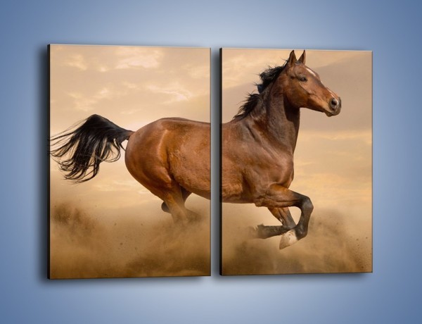Obraz na płótnie – Koń który nie chce się zatrzymać – dwuczęściowy prostokątny pionowy Z314
