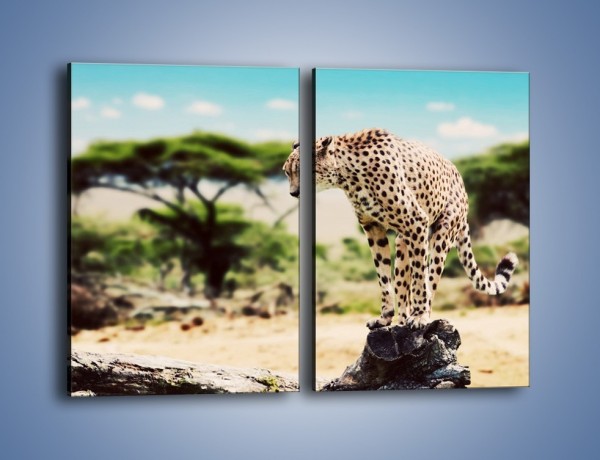 Obraz na płótnie – Cała zwinność geparda – dwuczęściowy prostokątny pionowy Z315