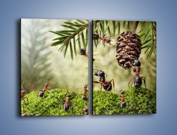 Obraz na płótnie – Praca mrówek od rana do wieczora – dwuczęściowy prostokątny pionowy Z321