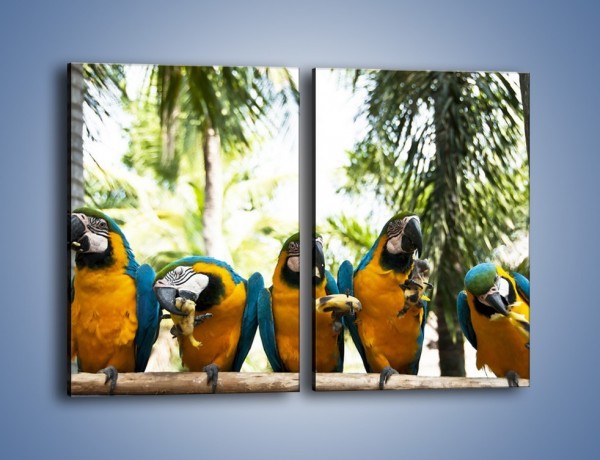 Obraz na płótnie – Piknik z papugami – dwuczęściowy prostokątny pionowy Z322