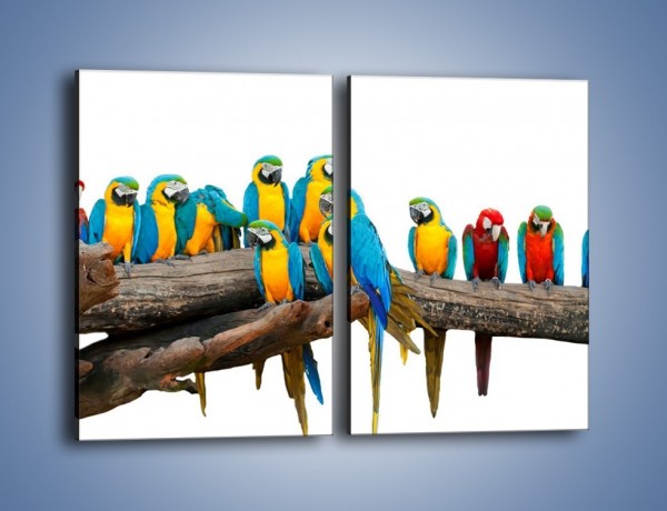 Obraz na płótnie – Kolorowe stado papug – dwuczęściowy prostokątny pionowy Z326