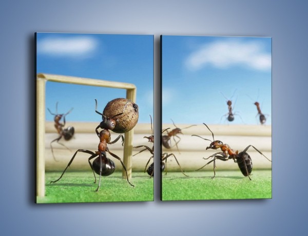 Obraz na płótnie – Mecz mrówkowych drużyn – dwuczęściowy prostokątny pionowy Z327