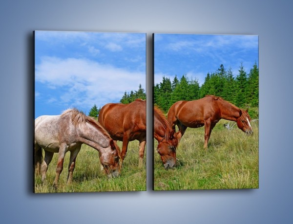 Obraz na płótnie – Spokój las i konie – dwuczęściowy prostokątny pionowy Z330