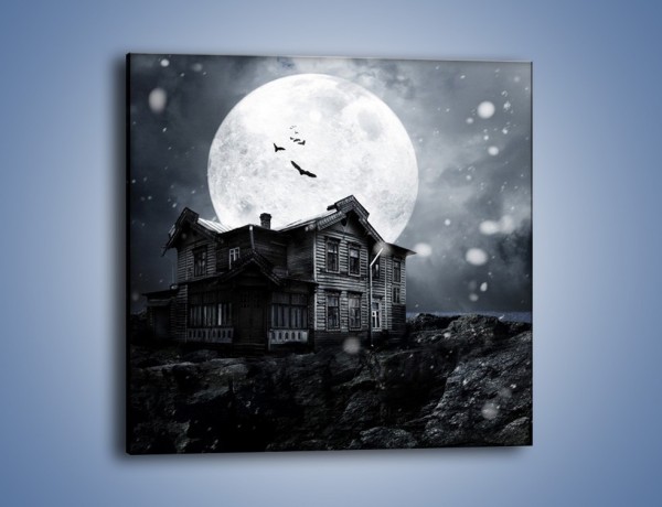 Obraz na płótnie – Nietoperze i pełnia księżyca – jednoczęściowy kwadratowy GR012