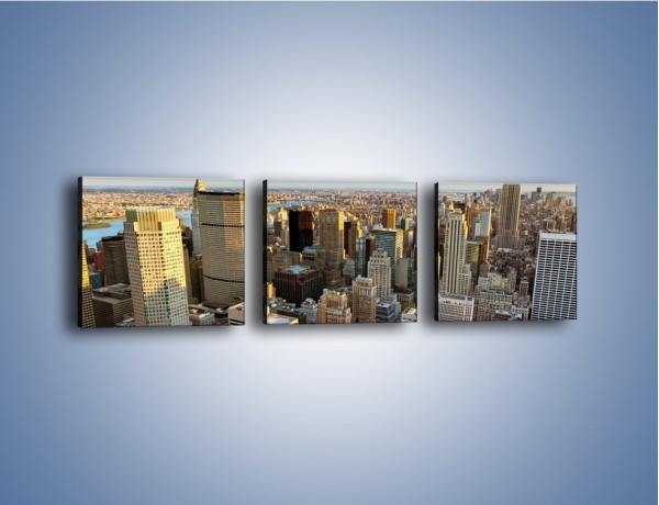 Obraz na płótnie – Manhattan w Nowym Yorku – trzyczęściowy AM412W1