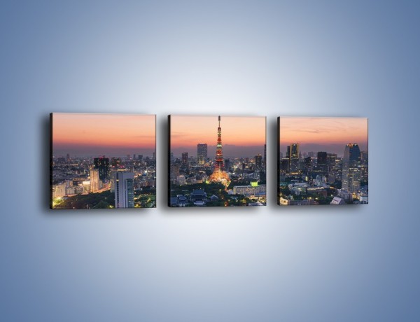 Obraz na płótnie – Tokyo o poranku – trzyczęściowy AM633W1
