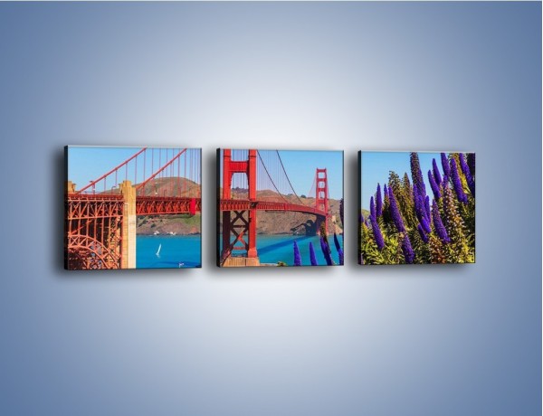 Obraz na płótnie – Golden Gate pod błękitnym niebem – trzyczęściowy AM644W1