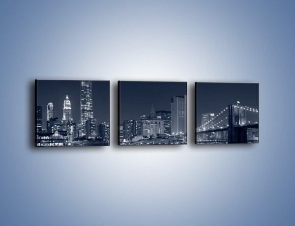 Obraz na płótnie – Manhattan w jednolitym kolorze – trzyczęściowy AM645W1