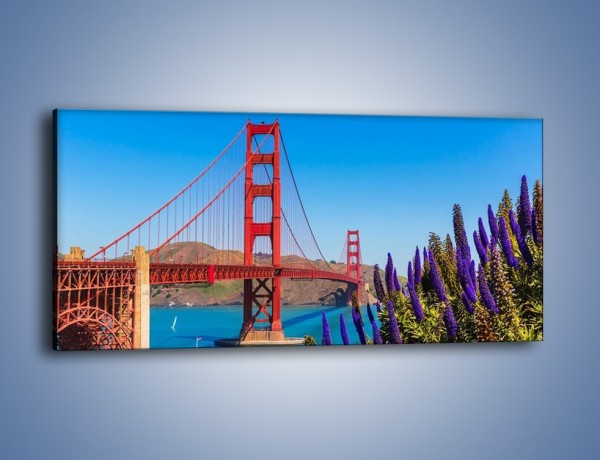 Obraz na płótnie – Golden Gate pod błękitnym niebem – jednoczęściowy panoramiczny AM644