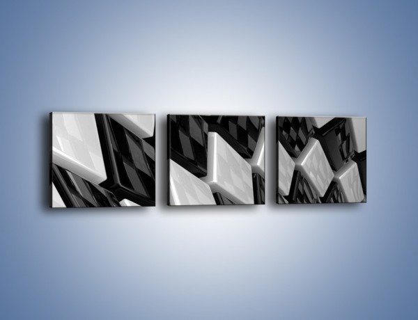 Obraz na płótnie – Czarne czy białe – trzyczęściowy GR425W1