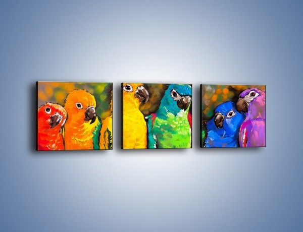 Obraz na płótnie – Rozmowa papuzich przyjaciół – trzyczęściowy GR492W1