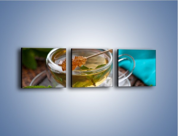 Obraz na płótnie – Oczyszczająca zielona herbata – trzyczęściowy JN104W1