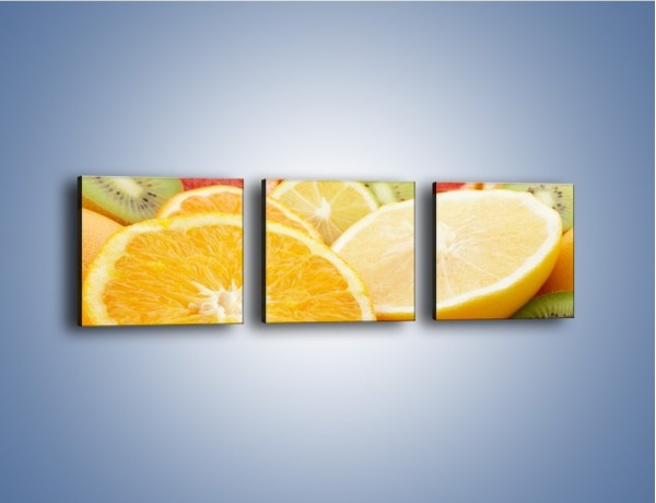 Obraz na płótnie – Kwaśny kęs witamin owocowych – trzyczęściowy JN157W1