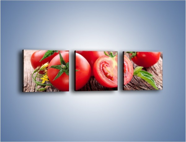 Obraz na płótnie – Pomidorowa uczta – trzyczęściowy JN201W1