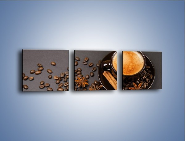 Obraz na płótnie – Kawa z goździkiem – trzyczęściowy JN349W1