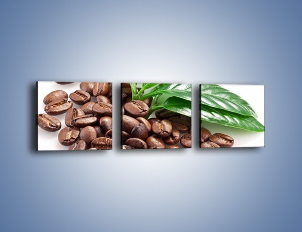 Obraz na płótnie – Kawa wśród zieleni – trzyczęściowy JN418W1