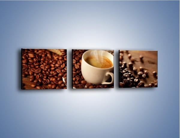 Obraz na płótnie – Zatopione ziarna kawy – trzyczęściowy JN477W1