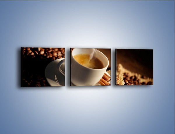 Obraz na płótnie – Historia dwóch ziarenek kawy – trzyczęściowy JN479W1