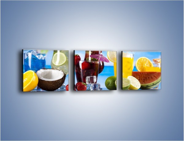 Obraz na płótnie – Drinki z egzotycznych owoców – trzyczęściowy JN640W1