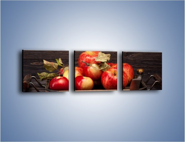 Obraz na płótnie – Dojrzałe jabłka na stole – trzyczęściowy JN653W1