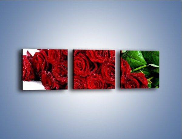 Obraz na płótnie – Oszronione czerwone róże – trzyczęściowy K047W1
