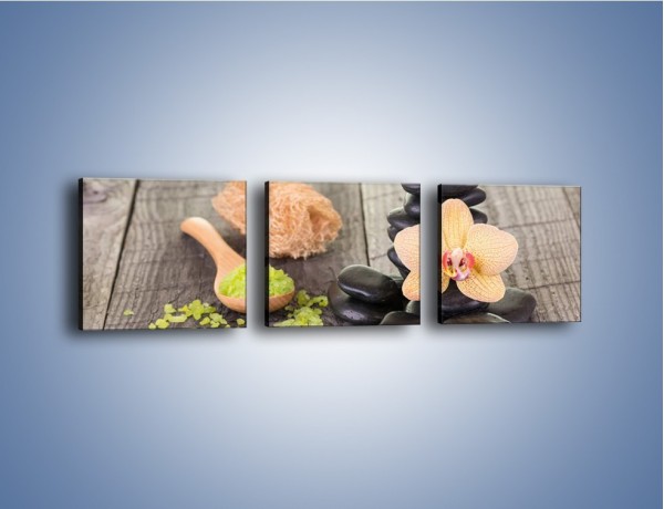 Obraz na płótnie – Szczypta relaksu i bajkowy storczyk – trzyczęściowy K1005W1