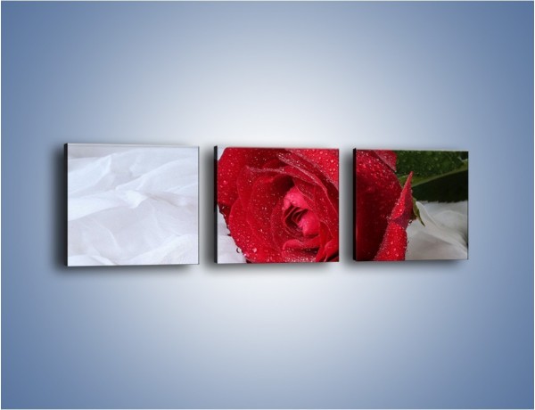 Obraz na płótnie – Bordowa róża na białej pościeli – trzyczęściowy K1023W1