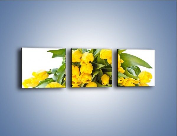 Obraz na płótnie – Piramida żółtych tulipanów – trzyczęściowy K111W1