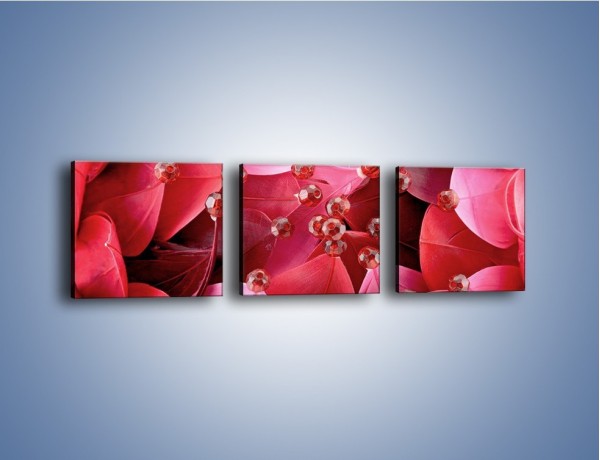 Obraz na płótnie – Koraliki wśród kwiatowych piór – trzyczęściowy K134W1