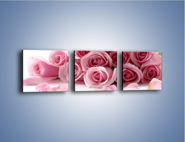 Obraz na płótnie – Nadal piękne róże – trzyczęściowy K167W1