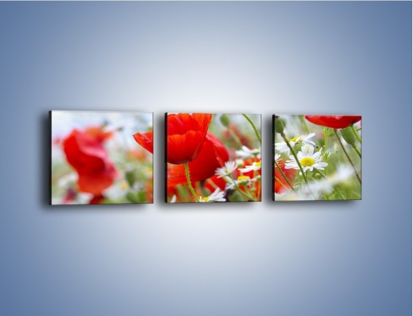 Obraz na płótnie – Polana pełna kwiatów – trzyczęściowy K371W1