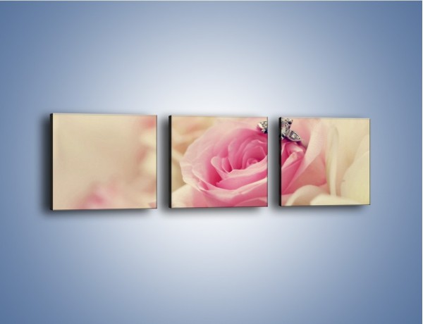 Obraz na płótnie – Związek z różą na zawsze – trzyczęściowy K393W1